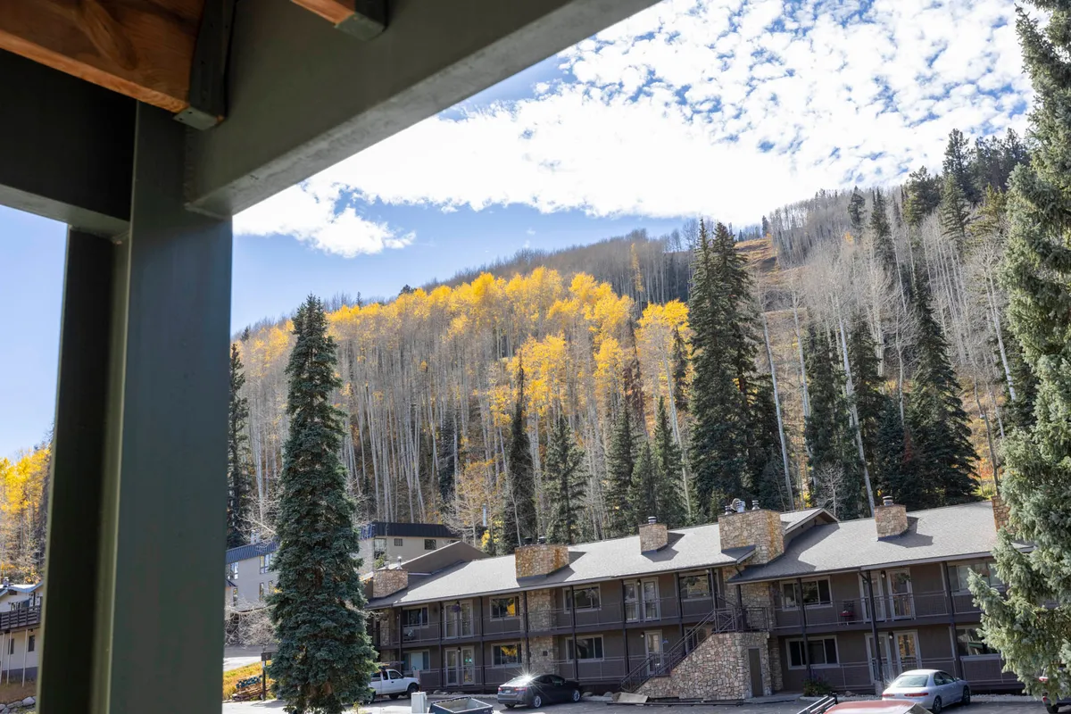 A tranquil mountain view during autumn, showcasing golden and red foliage, pine trees, and a low-rise building nestled in nature. The serene setting invites exploration and appreciation of the area’s picturesque hiking trails.